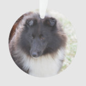 Schattige Sheltie Ornament (voorkant)