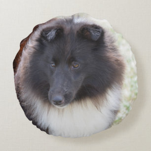 Schattige Sheltie Rond Kussen