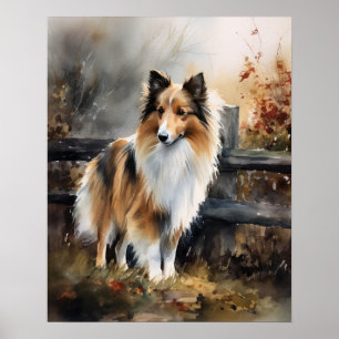Schattige Shetland Sheepdog Hond Art Print Poster