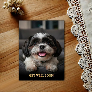 Schattige Shih Tzu Beterschap Ansichtkaart Briefkaart