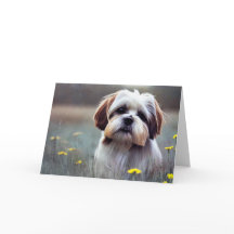 Schattige Shih Tzu Birthday