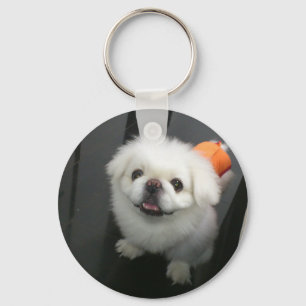 Schattige shih tzu die naar de camera kijkt sleutelhanger