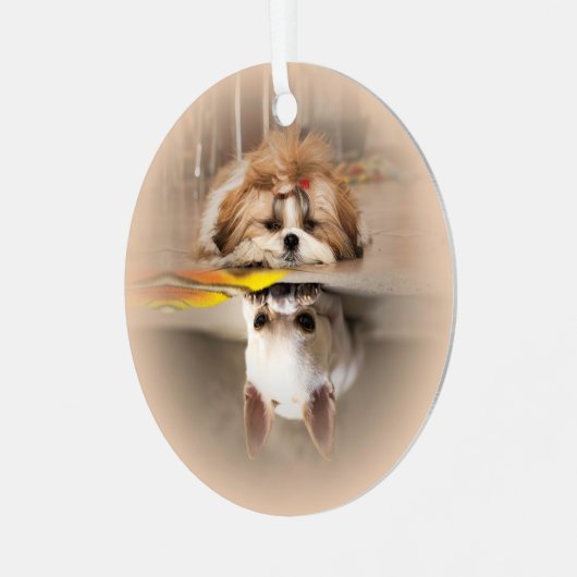 Schattige shih tzu en chihuahua metalen ornament (Voorkant links)