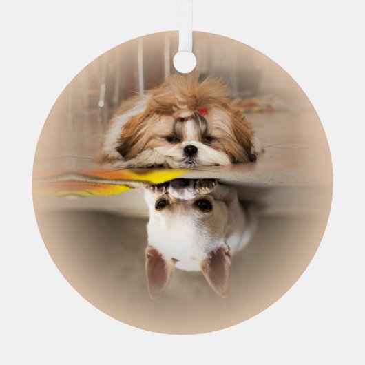 Schattige shih tzu en chihuahua metalen ornament (Voorkant)