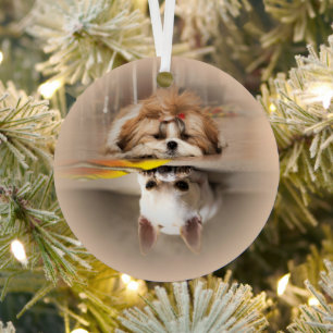 Schattige shih tzu en chihuahua metalen ornament