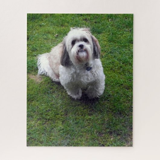 Schattige Shih Tzu Fluffy Dog Afbeelding Fotosjabl Legpuzzel (Verticaal)