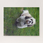 Schattige Shih Tzu Fluffy Dog Afbeelding Fotosjabl Legpuzzel (Horizontaal)