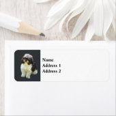 Schattige Shih Tzu Puppy Etiket (Insitu)