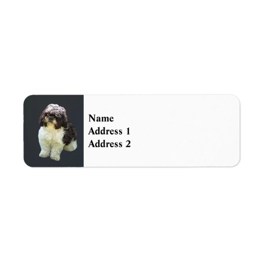 Schattige Shih Tzu Puppy Etiket (Voorkant)
