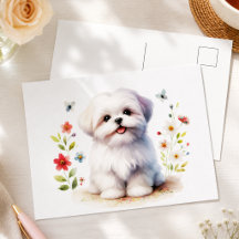 Schattige Shih Tzu Puppy Hond Bloemen