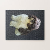 Schattige Shih Tzu Puppy Legpuzzel (Horizontaal)