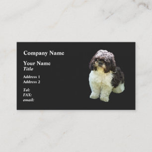Schattige Shih Tzu Puppy Visitekaartje