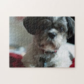 Schattige Shih Tzu Puzzle Legpuzzel (Horizontaal)