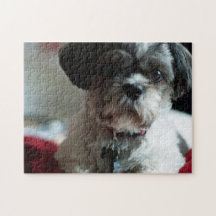 Schattige Shih Tzu Puzzle