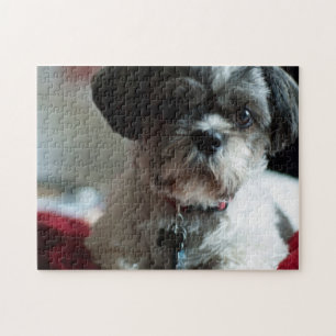 Schattige Shih Tzu Puzzle Legpuzzel