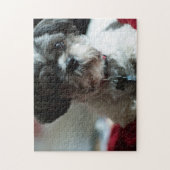 Schattige Shih Tzu Puzzle Legpuzzel (Verticaal)