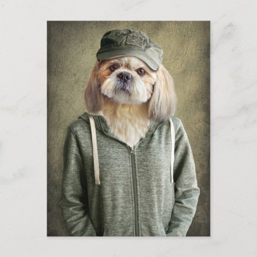 Schattige Shih Tzu Woont een Pet en een hond Briefkaart (Voorkant)