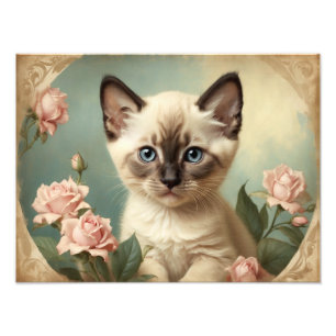 Schattige Siamees Kitten Portrait Flowers Sweet Foto Afdruk