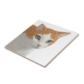 Schattige Siamese Kat Kunst Tegeltje (Zijkant)