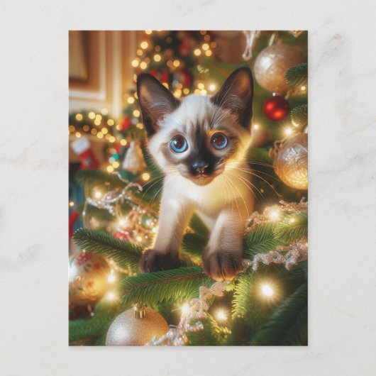 Schattige Siamese kitten in een kerstboom Briefkaart (Voorkant)