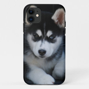 Schattige Siberian Husky Sled Dog Puppy iPhone 11 Hoesje