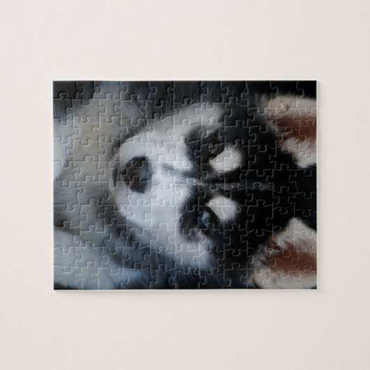 Schattige Siberian Husky Sled Dog Puppy Legpuzzel (Horizontaal)