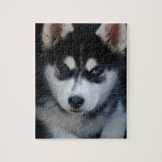 Schattige Siberian Husky Sled Dog Puppy Legpuzzel (Verticaal)
