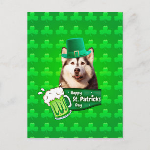 Schattige Siberisch Husky Dog Pet St. Patrick's Da Briefkaart
