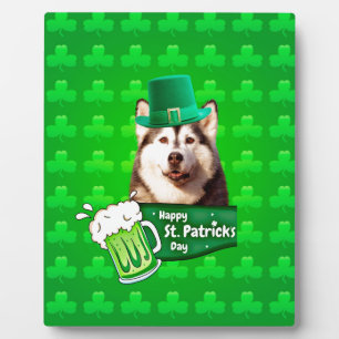 Schattige Siberisch Husky Dog Pet St. Patrick's Da Fotoplaat
