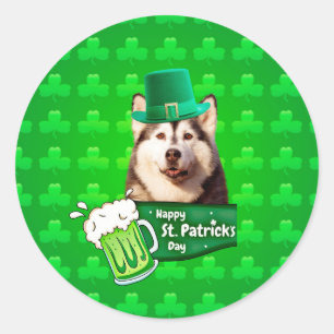 Schattige Siberisch Husky Dog Pet St. Patrick's Da Ronde Sticker
