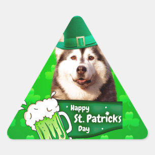 Schattige Siberisch Husky Dog Pet St. Patrick's Da Sticker