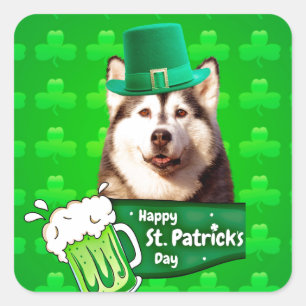 Schattige Siberisch Husky Dog Pet St. Patrick's Da Vierkante Sticker