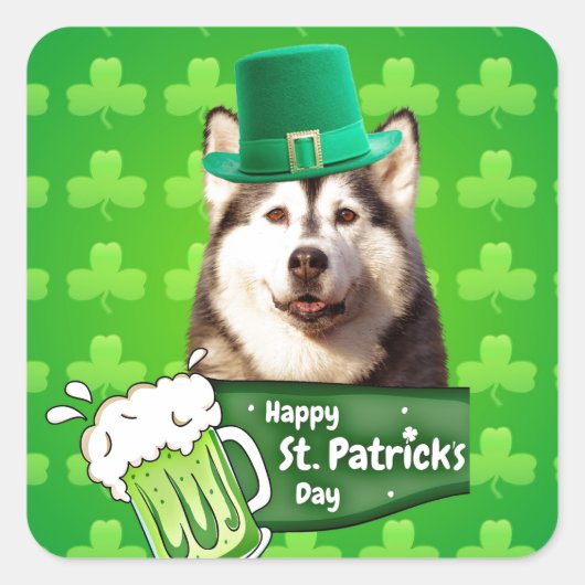 Schattige Siberisch Husky Dog Pet St. Patrick's Da Vierkante Sticker (Voorkant)