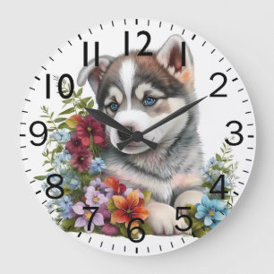 Schattige Siberische Husky Puppy Hond Grote Klok
