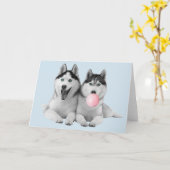 Schattige Siberische Husky's met Kauwgom Bubbels Kaart (Gele Bloem)