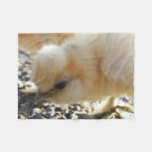 Schattige Silkie Chick Fleece Blanket (Voorkant (Horizontaal))