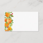 Schattige Sinaasappel Clementine Luier Raffle Baby Informatiekaartje (Achterkant)