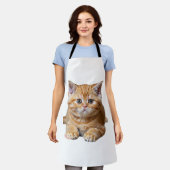 Schattige sinaasappels kitten met oranje donkere s schort (Gedragen)