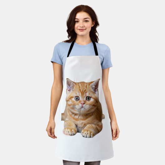 Schattige sinaasappels kitten met oranje donkere s schort (Gedragen)