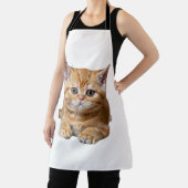 Schattige sinaasappels kitten met oranje donkere s schort (Insitu)