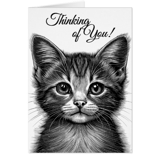 Schattige sketch van Young Cat Blank Inside (Voorkant)