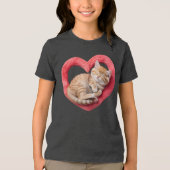 Schattige Slaande Kat Harige Hart Tri-Blend Shirt (Voorkant)
