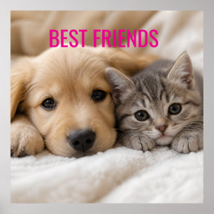 Schattige Slaande Puppy en Kitten Knuffelen Poster