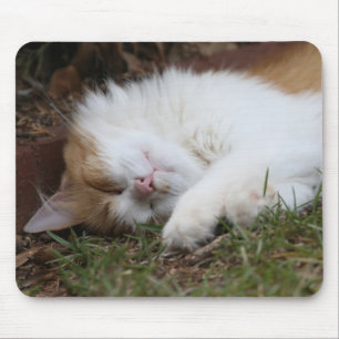 schattige slaapkat mousepad muismat