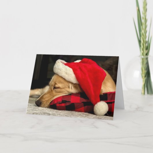 Schattige Slapen Golden Retriever Dog Christmas Feestdagen Kaart (Voorkant)