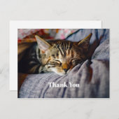 Schattige slapen Tabby Cat Foto Dank u Briefkaart (Voorkant / Achterkant)