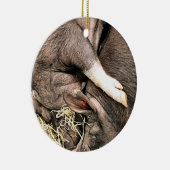 SCHATTIGE SLAPENDE BIGGEN KERAMISCH ORNAMENT (Rechts)