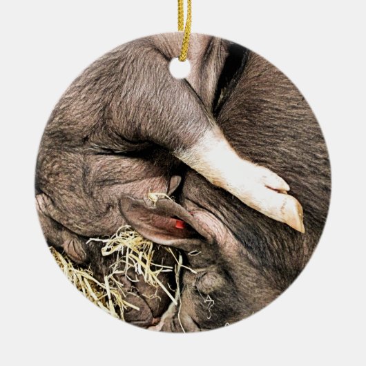SCHATTIGE SLAPENDE BIGGEN KERAMISCH ORNAMENT (Voorkant)