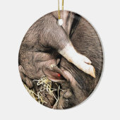 SCHATTIGE SLAPENDE BIGGEN KERAMISCH ORNAMENT (Links)