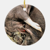 SCHATTIGE SLAPENDE BIGGEN KERAMISCH ORNAMENT (Achterkant)